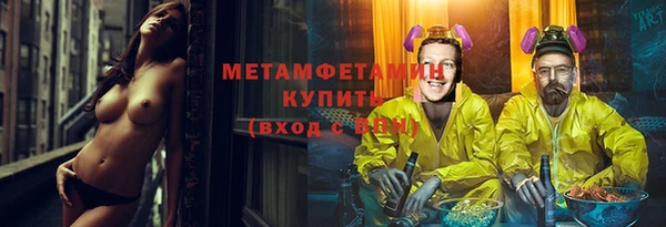 крисы Ельня