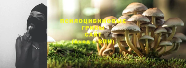 крисы Ельня