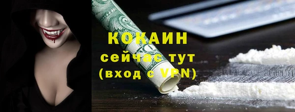 тгк Елизово