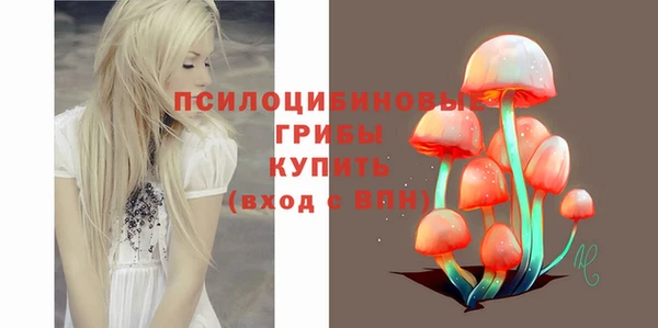 крисы Ельня