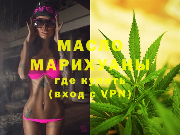 крисы Ельня