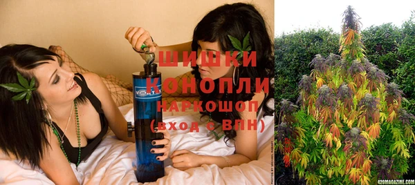 гидропоника Елабуга