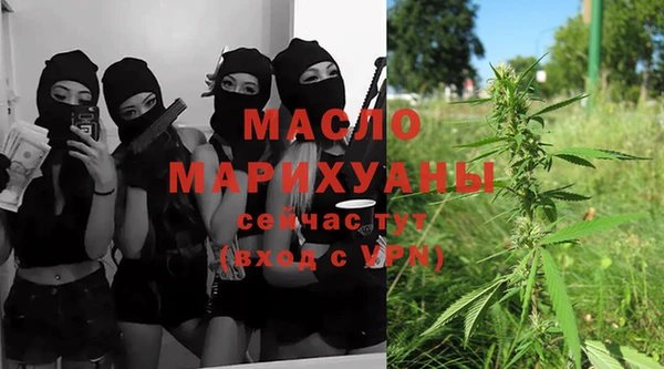 крисы Ельня