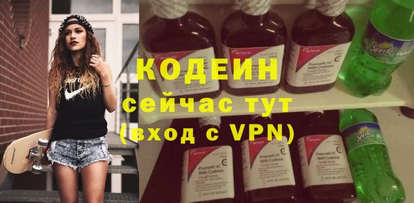 крисы Ельня