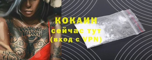гидропоника Елабуга