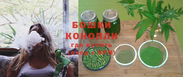 прущие грибы Заводоуковск