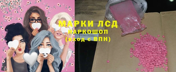 крисы Ельня