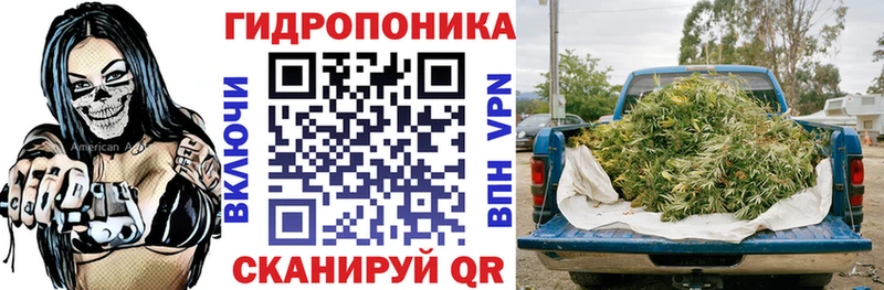 Конопля семена  Купить  Калачинск 